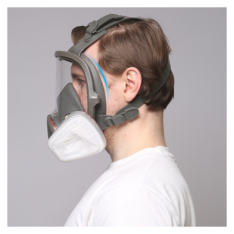 6800 Respiratore a gas a pieno - Woodworking Respirator recensione e prezzo